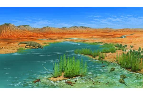 Fossil Evidence Uncovers Swift Terrestrial Recovery Following the End-Permian Extinction