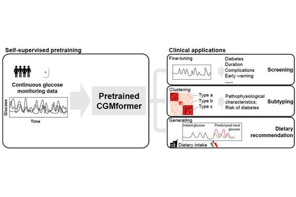 Revolutionizing Glucose Monitoring: A Pretrained Transformer Model for Decoding Individual Glucose Dynamics from Continuous Data