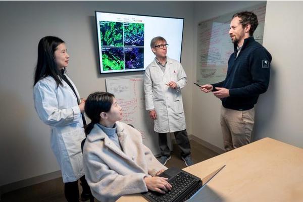 St. Jude Researchers Unravel Mechanism Behind Retinoic Acid’s Efficacy in Neuroblastoma Treatment