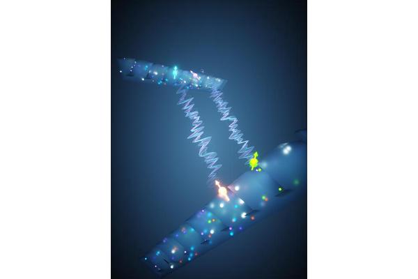 Unraveling Multiplexed Entanglement in Quantum Networks