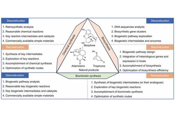 Advancements and Future Directions in Biomimetic Approaches to Natural Product Synthesis