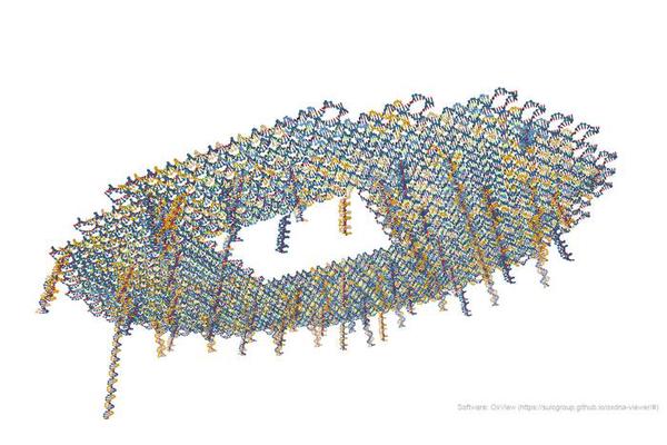 DNA Origami Paves the Way for Reusable, Multifunctional Biosensors