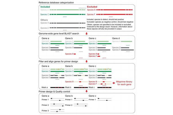 Scientists Unveil Cutting-Edge Tool for Swift Pathogen Detection