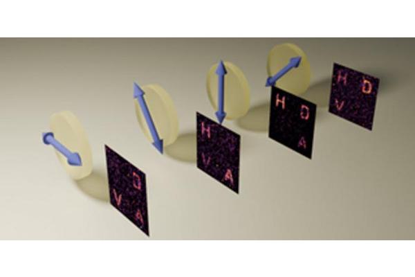 Twisted Holograms: Unraveling the Secrets of Light and Information Entanglement