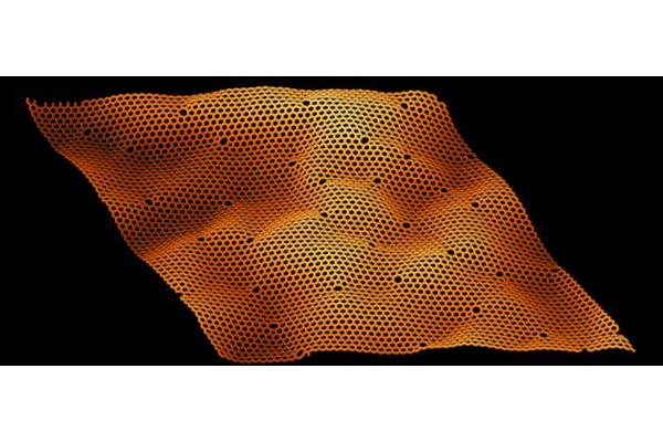 Disrupting the Surface: The Impact of Damage on Graphene’s Ripple Patterns