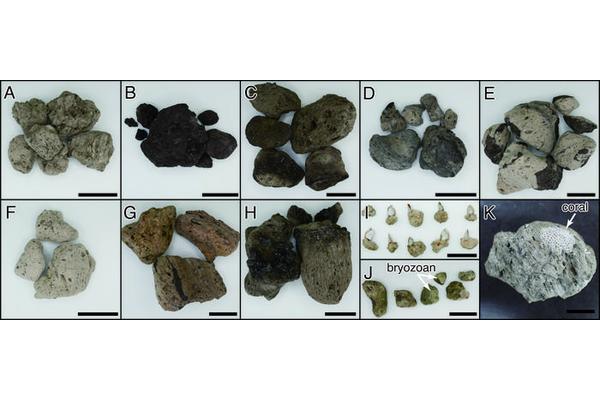 Scientists Monitor the Evolution of Pumice Rafts Following the 2021 Underwater Eruption in Japan