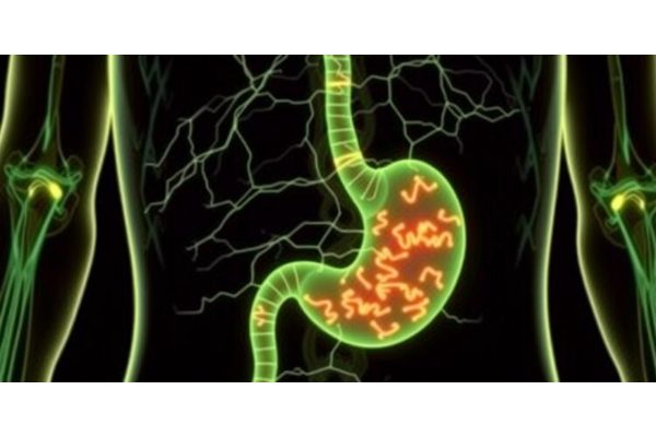 Nerve Connections Ignite Stomach Cancer: Driving Growth and Metastasis