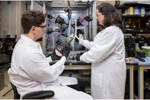 Cutting-Edge 3D Lung Model Sets New Standard for Research Advancements