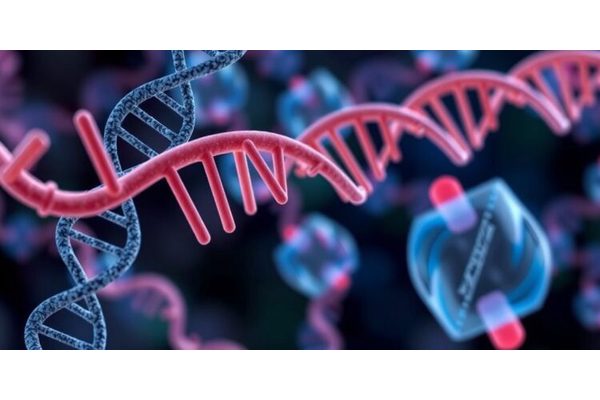 Discovery of DNA Alterations and Biological Pathways Linked to Hereditary Cancer Risk