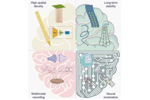 Advancements in Intracortical Neural Interfaces: Paving the Way for Free-Moving Animal Research
