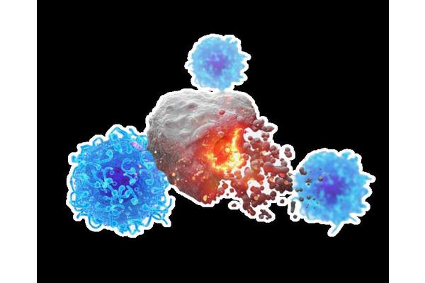 Revolutionary Cancer Vaccine Technique Enhances Efficacy and Broadens Treatment Potential