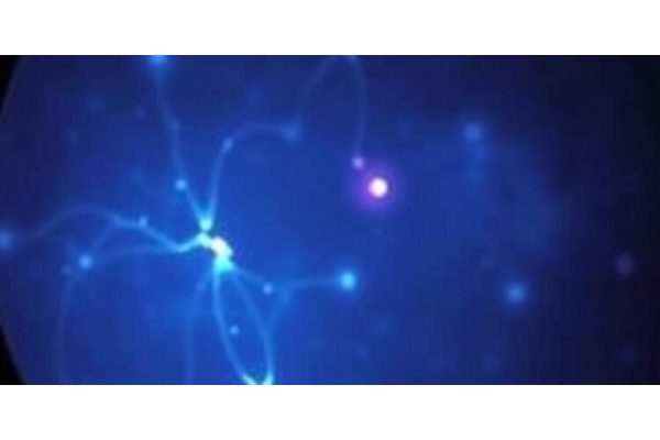 Exploring the Connection Between Semaglutide and Non-Arteritic Anterior Ischemic Optic Neuropathy