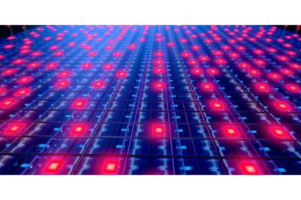 After Two Decades, Grid Cells Reveal Their Hidden Secrets