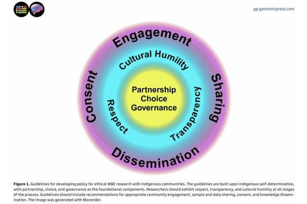 New Study Advocates for Ethical Guidelines to Safeguard Indigenous Genetic Privacy in Wastewater Monitoring