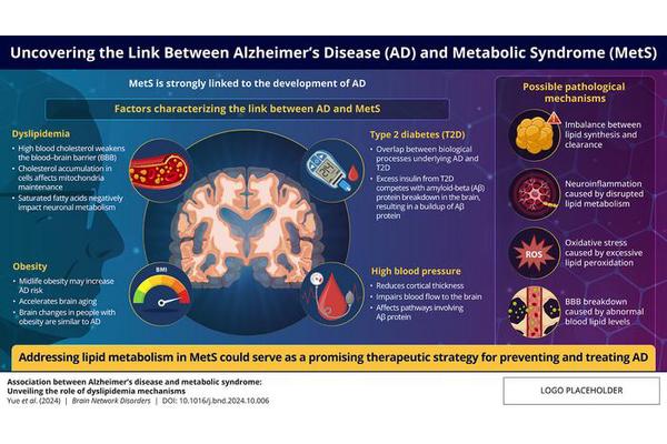 New Review Highlights Connection Between Metabolic Disorders and Alzheimer’s Disease in Brain Network Dysfunction