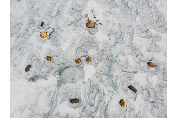 Robust Algae Could Accelerate Ice Melt in Greenland