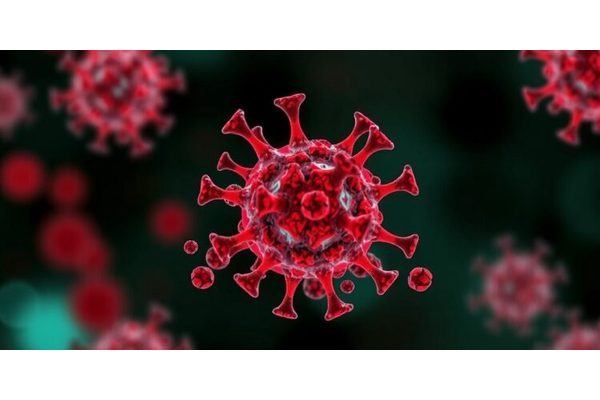 New Tool Unveils Connection Between Immune Cell Disruption in Blood and Cancer Prognosis