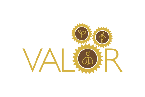 Exploring Society’s Reliance on Pollinators: Unveiling the VALOR Project