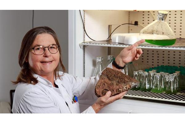 Unraveling the Origins: The Emergence of Life on Early Earth