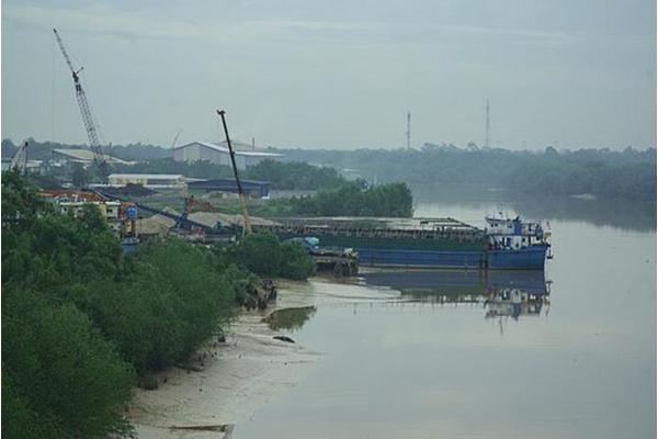 Sand Mining Surge: An Escalating Danger to Marine Ecosystems