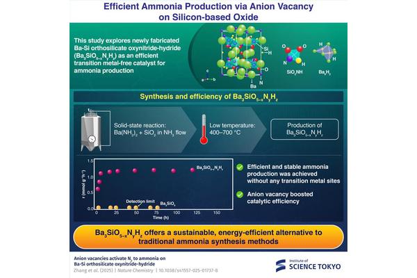 Breakthrough in Catalyst Design Paves the Way for Eco-Friendly Ammonia Production