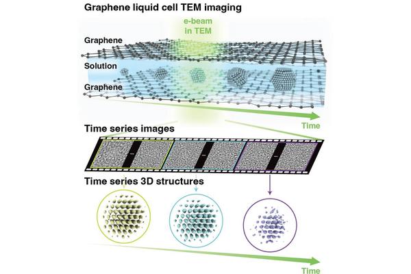 Breakthrough at SNU: Pioneering Technology Enables 3D Visualization of Atomic Structural Changes in Nanoparticles