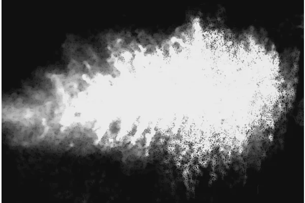 Study Uncovers Key Genes in Tuberculosis Essential for Airborne Transmission