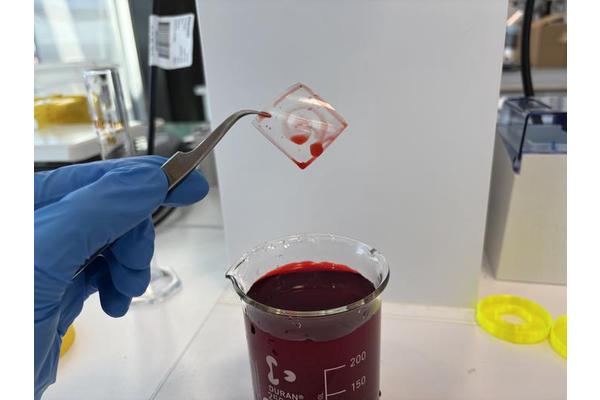 Discovering a Novel Polymer: A Game-Changer in Blood Clot Prevention for Medical Implants