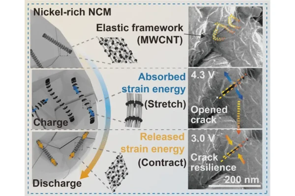 Revolutionary Nano-Spring Technology Enhances Battery Longevity and Energy Density