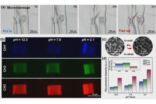 Advancements in Butterfly-Inspired 4D Printing of Smart Hydrogels Achieve Targeted Micro-Nano Deformation