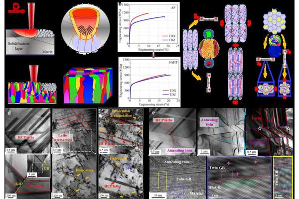 Advancements in 3D-Printed Knee Implants Enhance Quality and Reliability