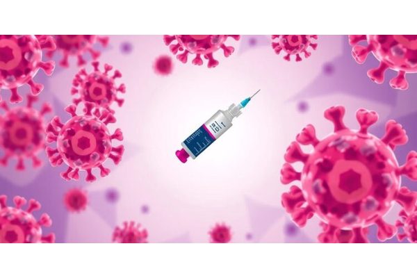 Exploring the Link: Gut Microbiota, Immunoglobulin A, and Their Impact on Vaccine Effectiveness
