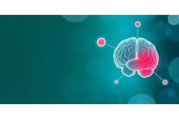 Exploring the Link Between Cardiovascular Health and Neurodegenerative Disease Biomarkers in Older Adults