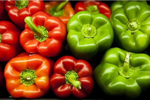 Public Backing Revealed in inaugural National Survey on Food is Medicine Initiatives