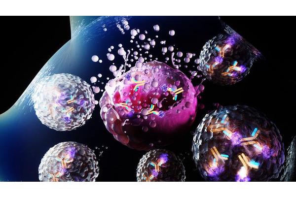 MD Anderson Researchers Unveil Innovative Antibody-Toxin Conjugate