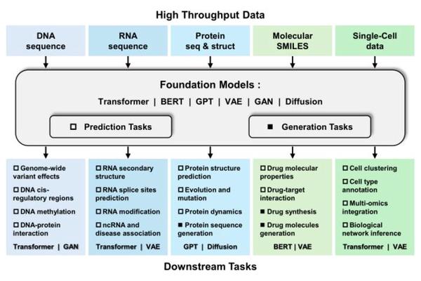 Exploring the Impact of Foundation Models in Bioinformatics: A Review