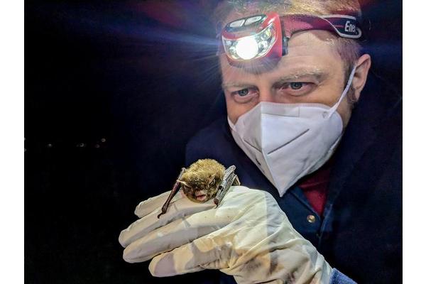 Genomic Advances Illuminate Health Insights for Endangered Bat Species