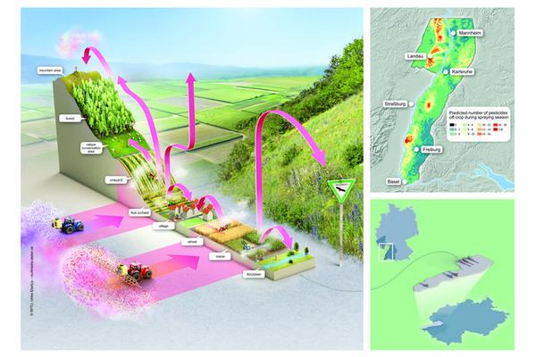 Widespread Pesticide Contamination Discovered Across Landscape of Upper Rhine Region, Extending from Agricultural Lowlands to Isolated Areas