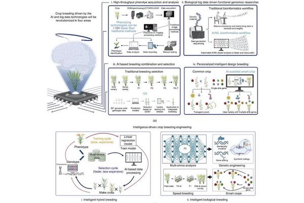 Revolutionizing Crop Breeding: The Impact of Next-Generation AI and Big Data