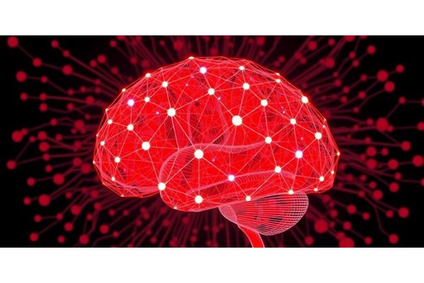 Similar to Human Brains, Large Language Models Employ Generalized Reasoning Across Varied Data