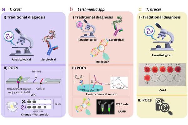 Transforming Tropical Disease Therapy: The Next Frontier in Drug-Nanoparticle Conjugation