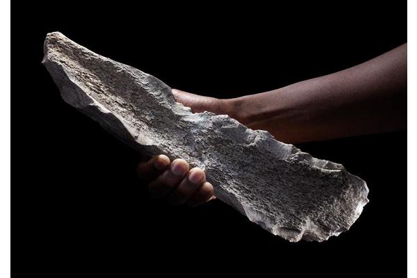 Ancient Bone Tool Workshop Reveals Insights into Early Abstract Reasoning in Human Ancestors