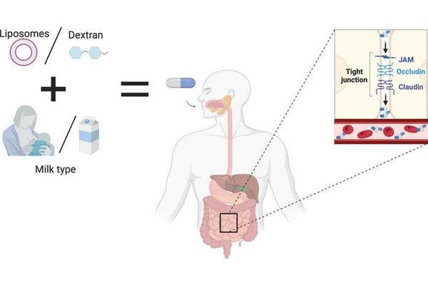 Savor the Change: The Evolution of Drug Delivery from Shots to Sips