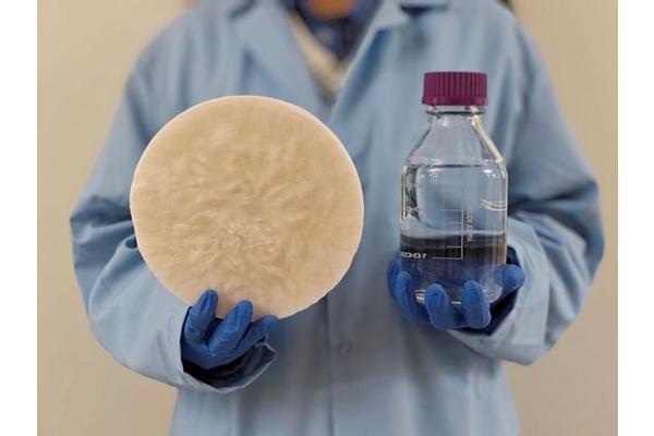 Transforming Waste to Water: How Everyday Biomass Converts Air into Drinking Water