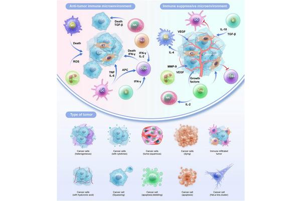 Exploring the Impact of Tumor-Infiltrating Immune Cells on Endometrial Carcinoma