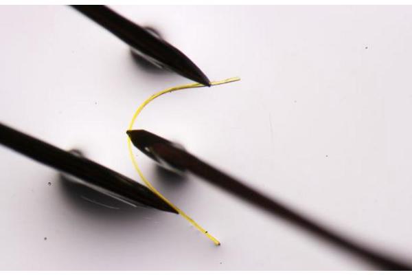 Unveiling the Elasticity Secrets of Flexible Crystals