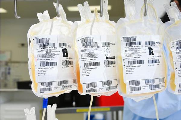 Don’t Discard Your Blood: Embrace Its Potential!
