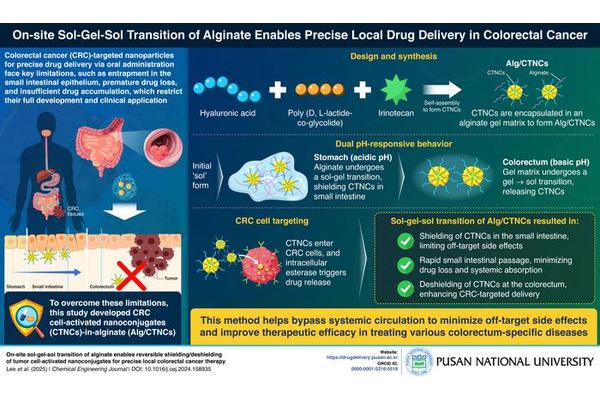 Pusan National University Innovates Self-Protecting Nanoparticles for Advanced Colorectal Cancer Treatment