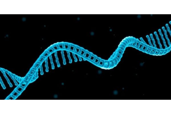 Researchers Unravel Dietary Choices Through Stool DNA Analysis: No Questions Required