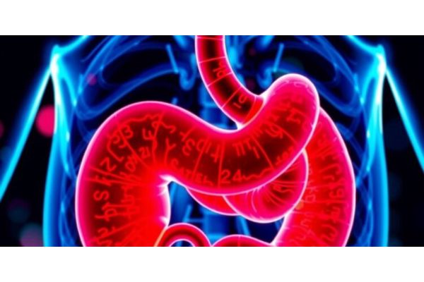 Research Reveals Synergistic Effects of Chronic Stress and Obesity on Pancreatic Cancer Progression